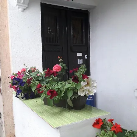 ゲストハウス The House プロヴディフ