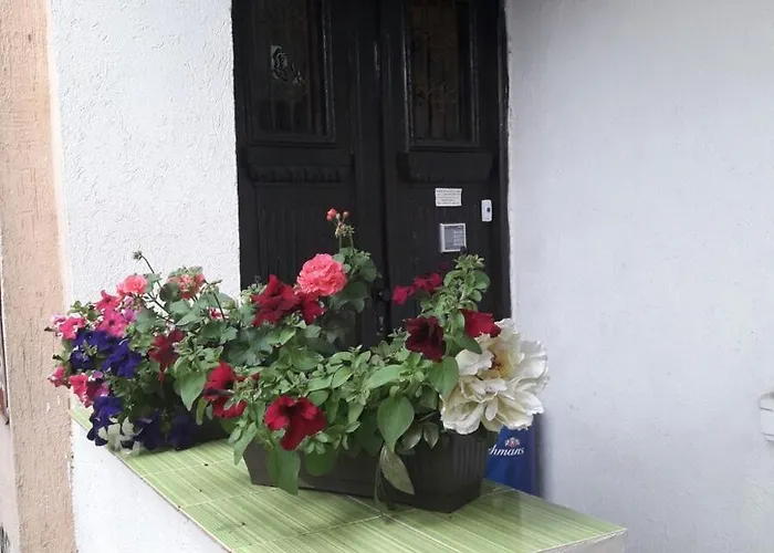 Gasthuis The House Plovdiv